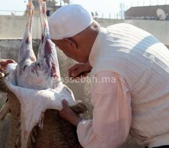 aidadhamoutonegorr | جريدة الصباح