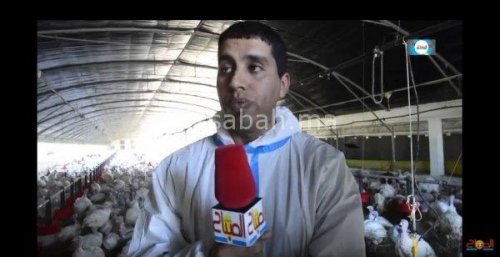 bibi | جريدة الصباح