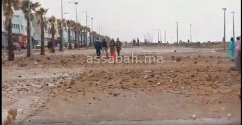 salé | جريدة الصباح
