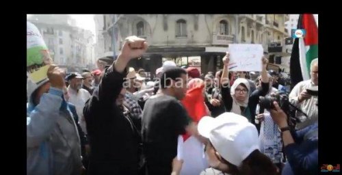pales | جريدة الصباح