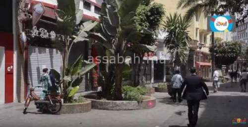 casa | جريدة الصباح