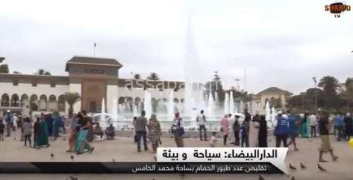 saha | جريدة الصباح