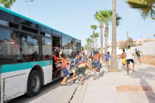 transport bus | جريدة الصباح