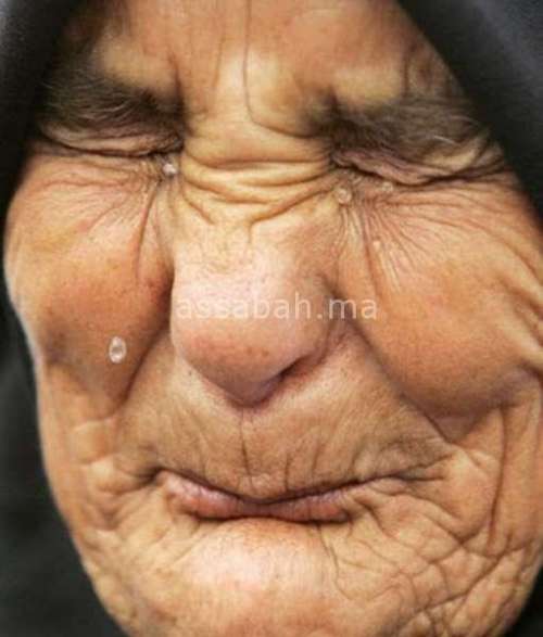 viol mossina