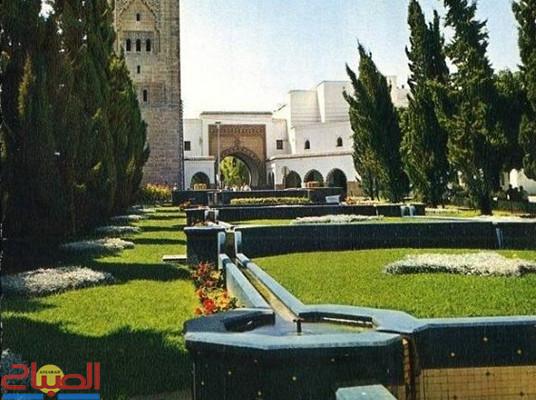 1969 | جريدة الصباح