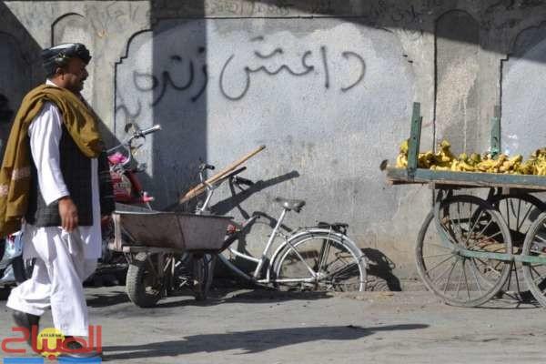ddddd | جريدة الصباح