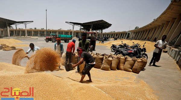 FILE PHOTO: Workers fill sacks with wheat at a market yard on the outskirts of Ahmedabad | جريدة الصباح