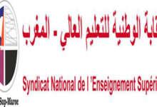 النقابة-الوطنية-للتعليم-العالي-snesup