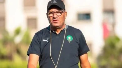 عبد المالك العزيز