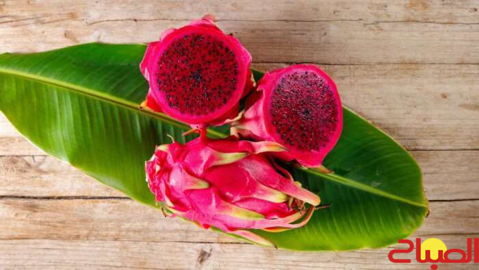 فاكهة التنين تعزز المناعة