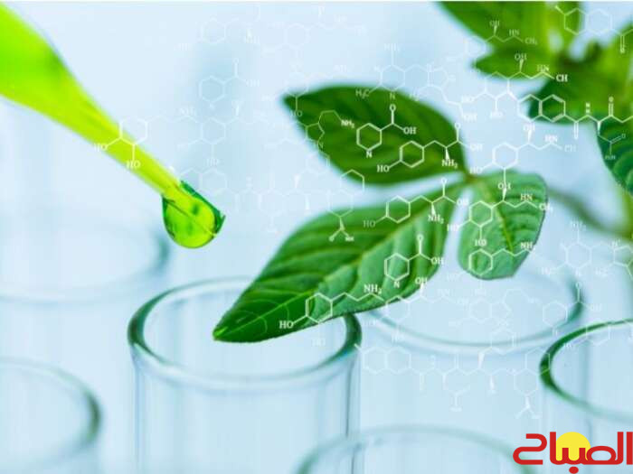 البيضاء تحتضن ورشة حول التنمية المستدامة في قطاع الكيمياء