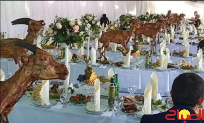 فيديو الغزال سرع باعتقال مبديع