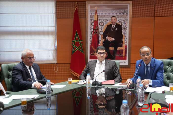 بنسعيد: الحكومة لم تشرع قانون المجلس الوطني للصحافة على المقاس