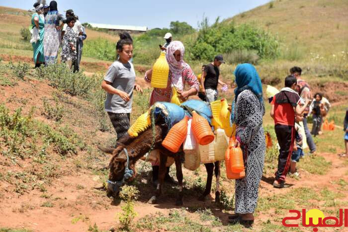 النهوض بالعالم القروي… أداء متذبذب