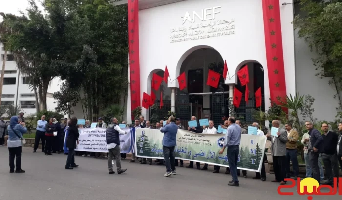 “الهيئات الغابوية” تراسل أخنوش لإنهاء الارتباك داخل وكالة المياه والغابات