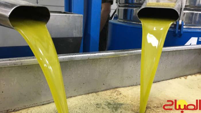 معاصر الزيتون “تقتل” حقولا وأودية