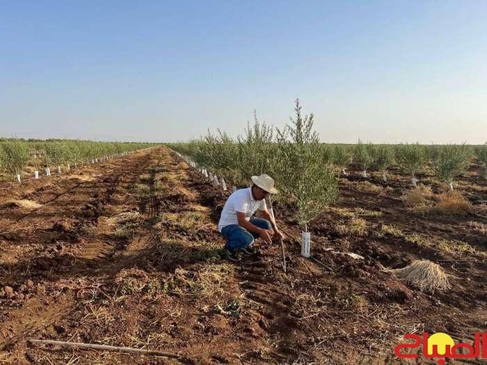 الاستثمار الفلاحي في مواجهة تحدي الماء